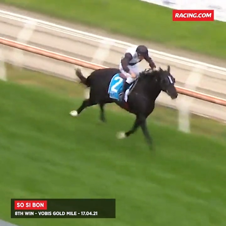 What a marvel So Si Bon was! ❤️ Of his nine career wins, which one was your favourite? 🫶🏻 Lindsay Park Racing