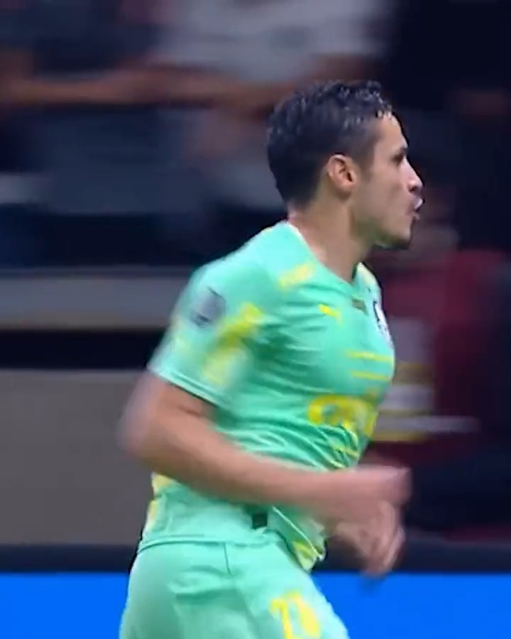 👇 Botão de quem ama o Veiganismo 💚 #AvantiPalestra