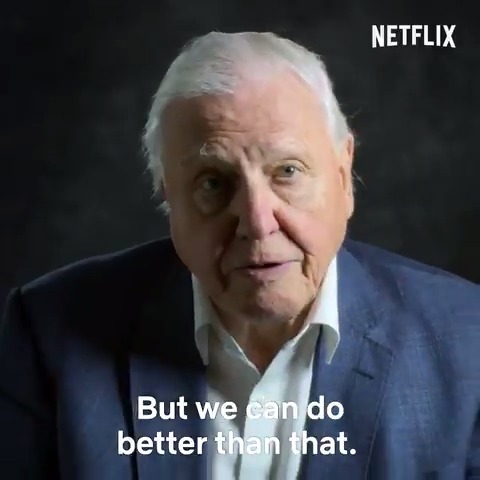 “A century from now, our planet could be a wild place again. And I'm going to tell you how."🌎 Sir David Attenborough spotlights #NatureBasedSolutions that can help us tackle the overlapping nature and climate emergencies. Via UN Biodiversity Our Planet