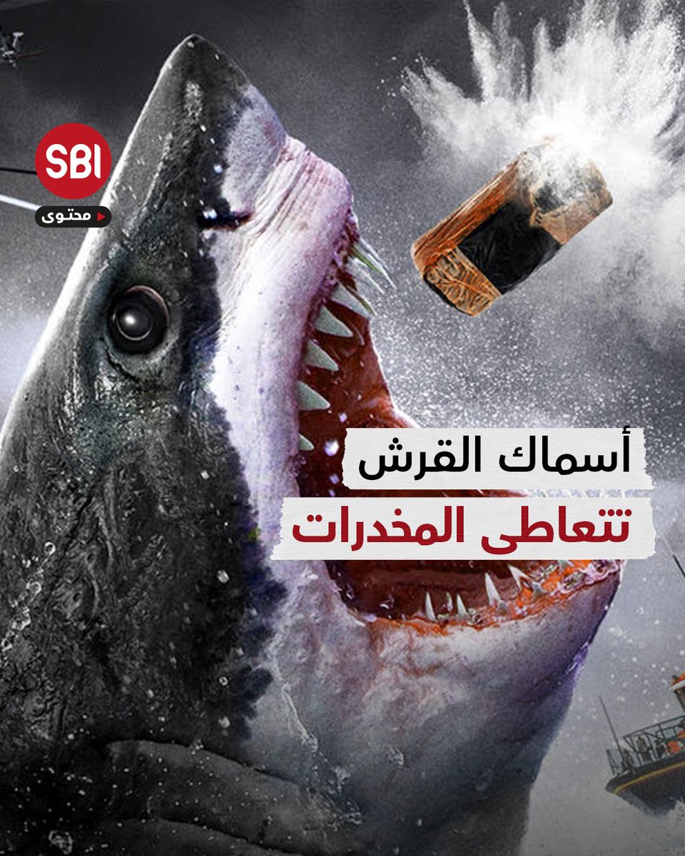 أسماك القرش تتعاطى الكوكايين وتضرب حبوب الهلوسة في عرض البحر! #ثريد #تريند #فيديو