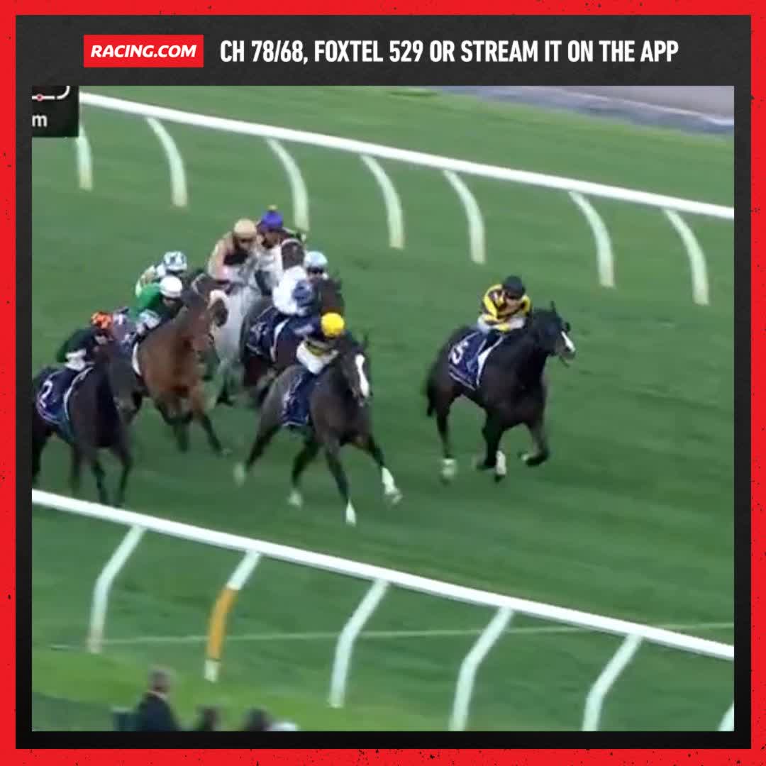 Benedetta sends the punters home happy in the last at HQ 🤝 Jason Warren Racing Tatum Bull
