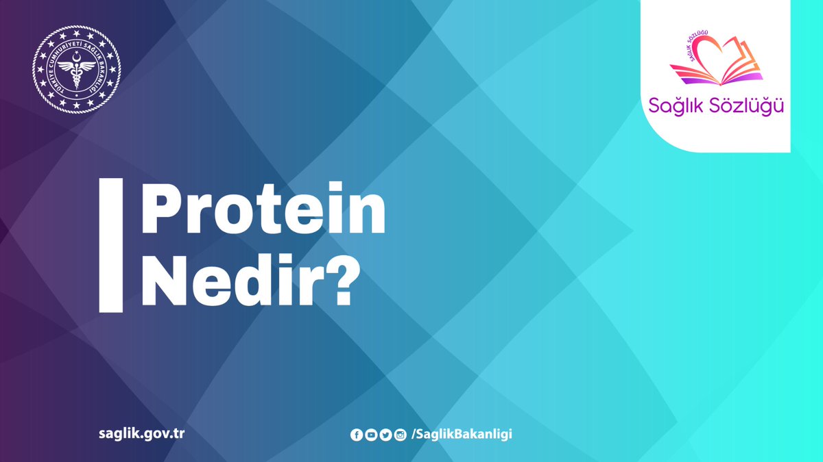 📹 Protein Nedir? #SağlıkSözlüğü