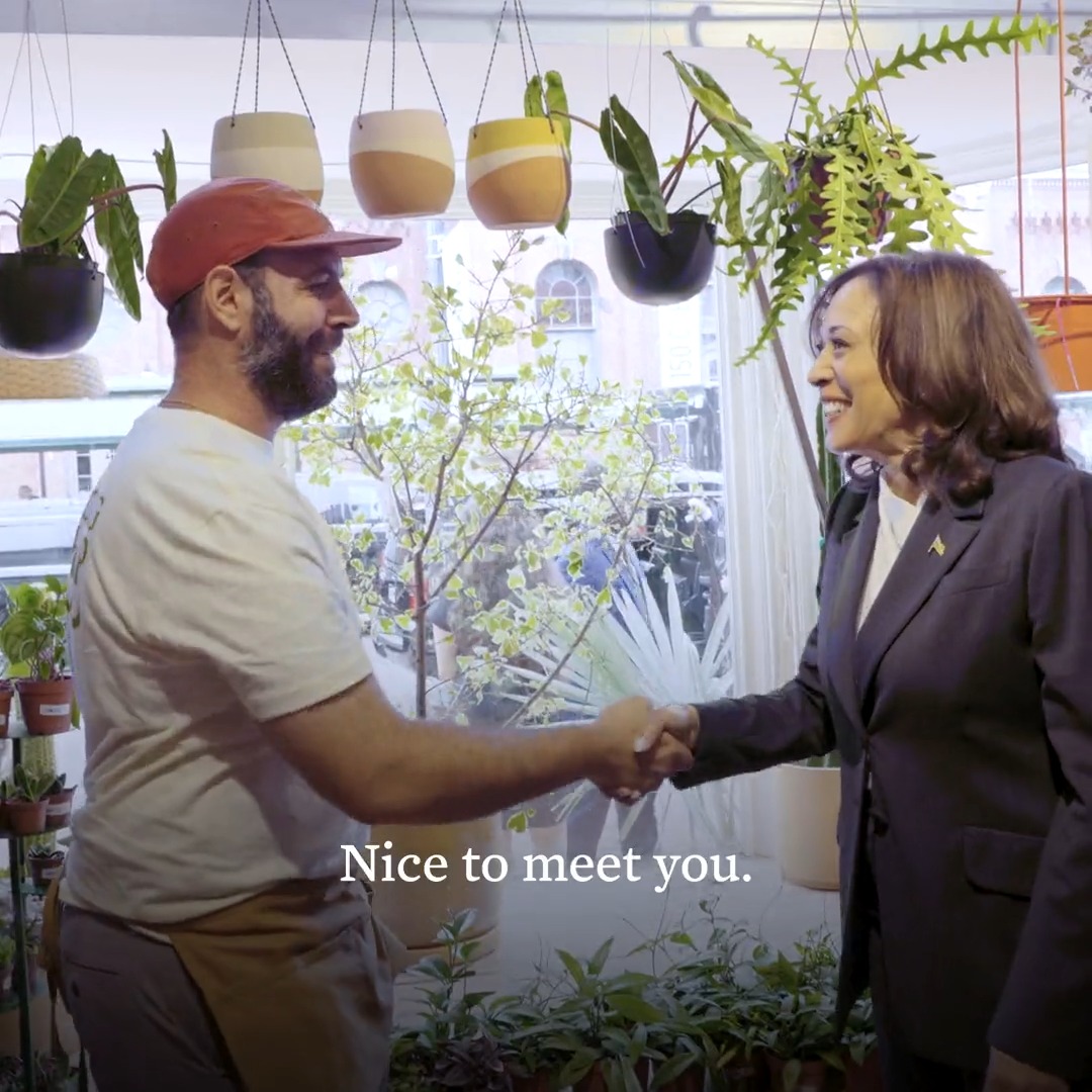 Thank you to the REWILD team for helping me pick out the perfect plant. When small businesses like this one succeed, America succeeds.