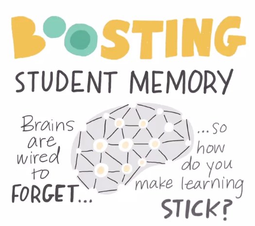 Humans are hardwired to forget. But strategies like peer-to-peer explanations, regular review, and interleaving can boost retention, research shows.