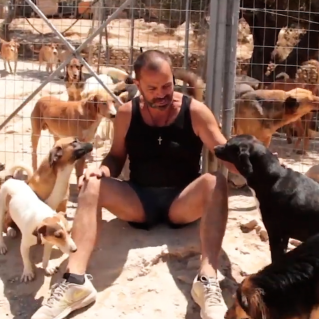 This guy sold his nightclub to save thousands of dogs ❤️ TakisShelter