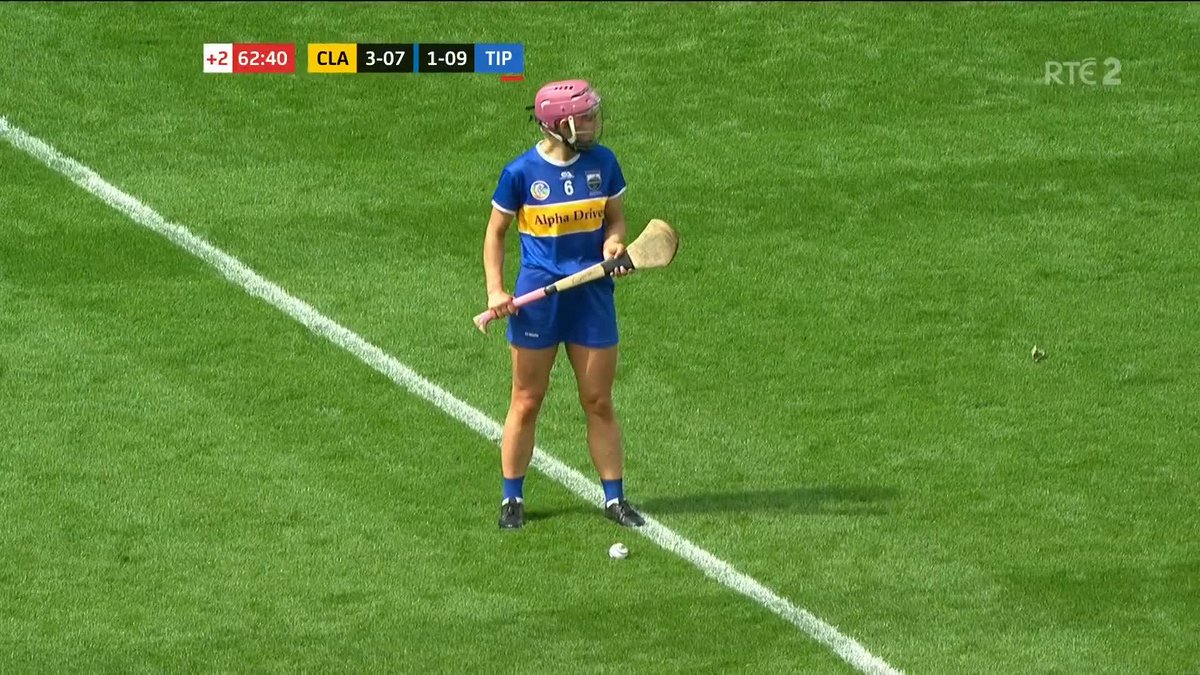 Clare celebrate winning the All-Ireland Junior Camogie title