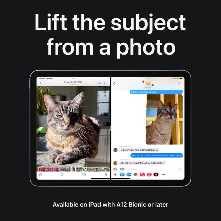 ✌️ Cut 👉 It 👍 Out Lift the subject of a photo, then copy and paste it right into Messages or another compatible app. Here’s how.