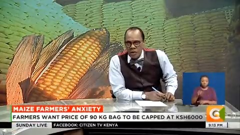Maize farmers’ anxiety: Farmers want price of 90 kg bag to be capped at Ksh.6000. Farmers fear they will suffer losses with low prices. Farmers say production costs shot up despite subsidy #SundayLive Jeff Koinange, MBS