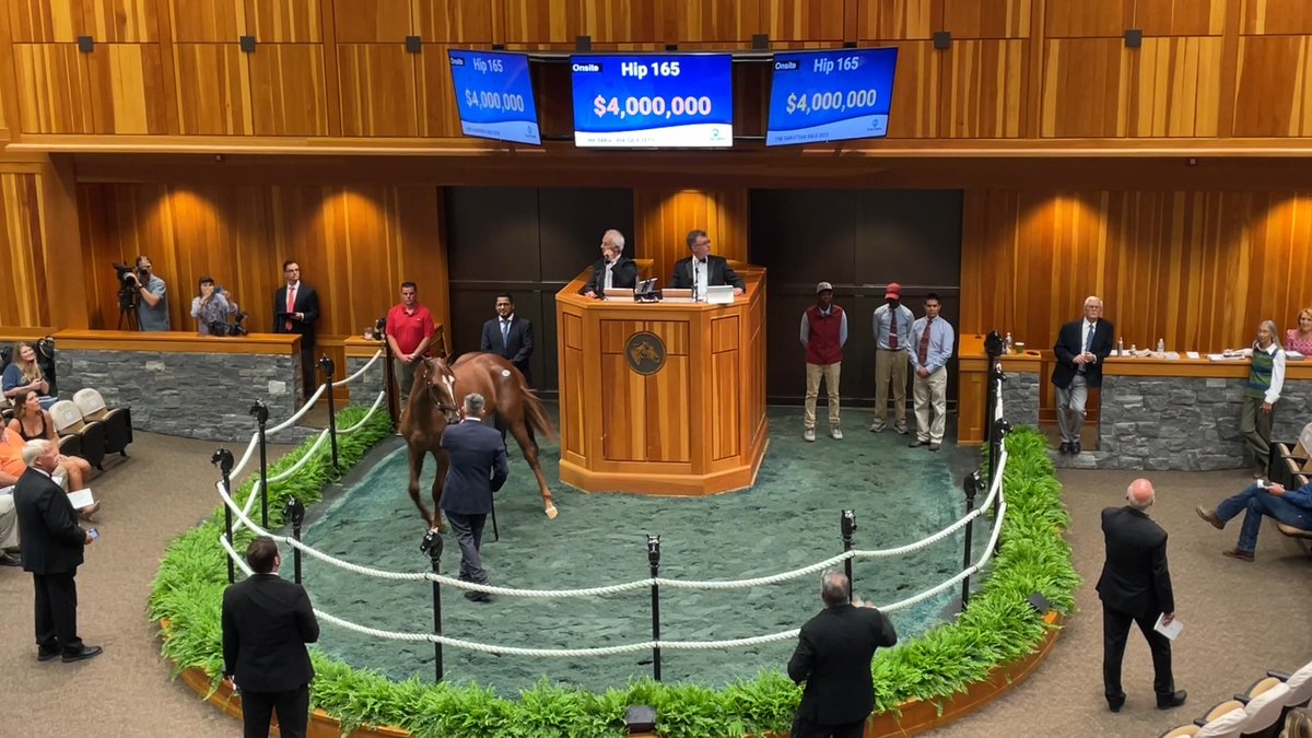 📽️ Watch Hip 165 c. CURLIN o/o Horse of the Year Beholder sell for $4,000,000 at The Saratoga Sale! #FasigSaratoga Taylor Made Farm Hill 'n' Dale Farms Zedan Racing Stables, Inc Donato Lanni