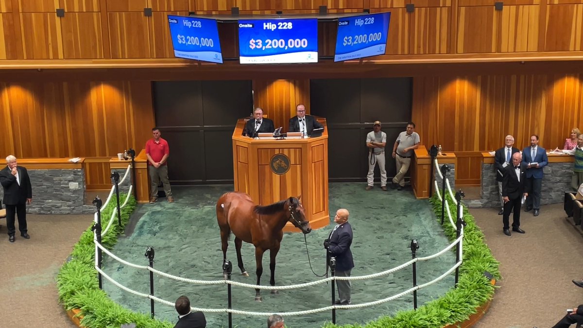 📽️ Watch Hip 228 c. INTO MISCHIEF o/o All American Dream sell for $3,200,000 at The Saratoga Sale! #FasigSaratoga Indian Creek Spendthrift Farm Donato Lanni Zedan Racing Stables, Inc