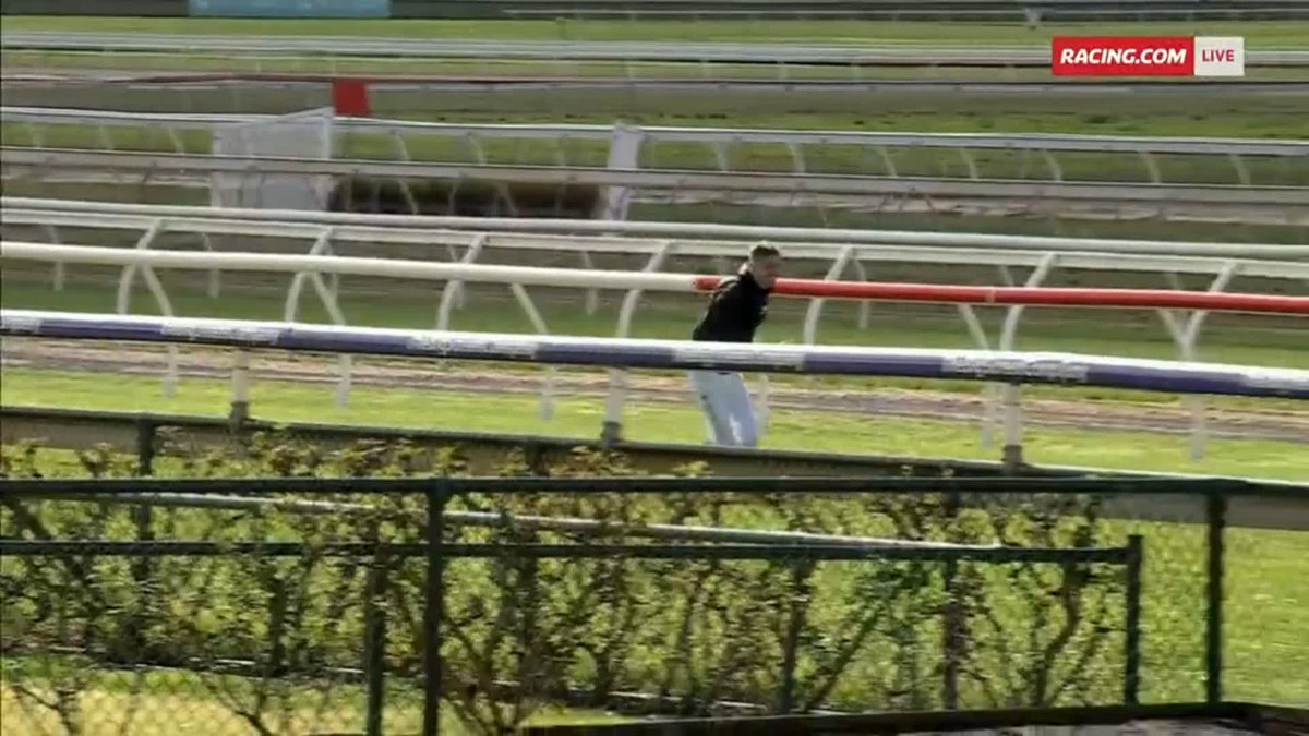 Watch out Jye! 🤣 Spring hasn't arrived yet, but the magpies are out in full force at Bendigo 🐧 Jye McNeil