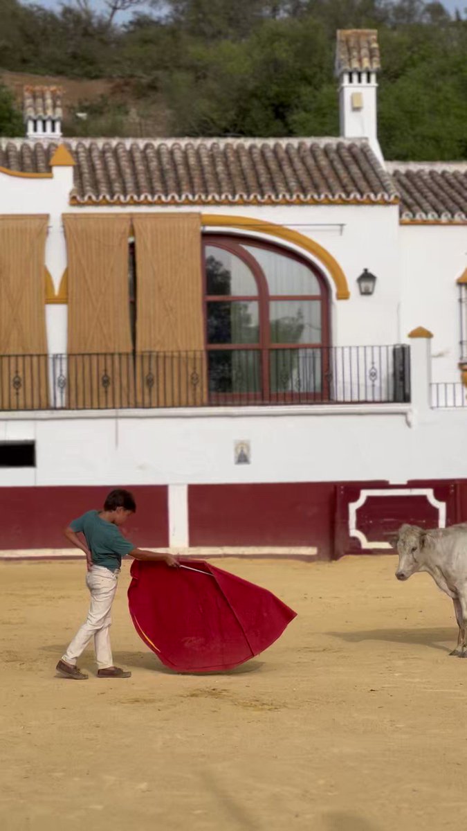 Cada uno se va de la cara del toro como quiere. La inocencia de los niños y sus impulsos más naturales alegran el día.