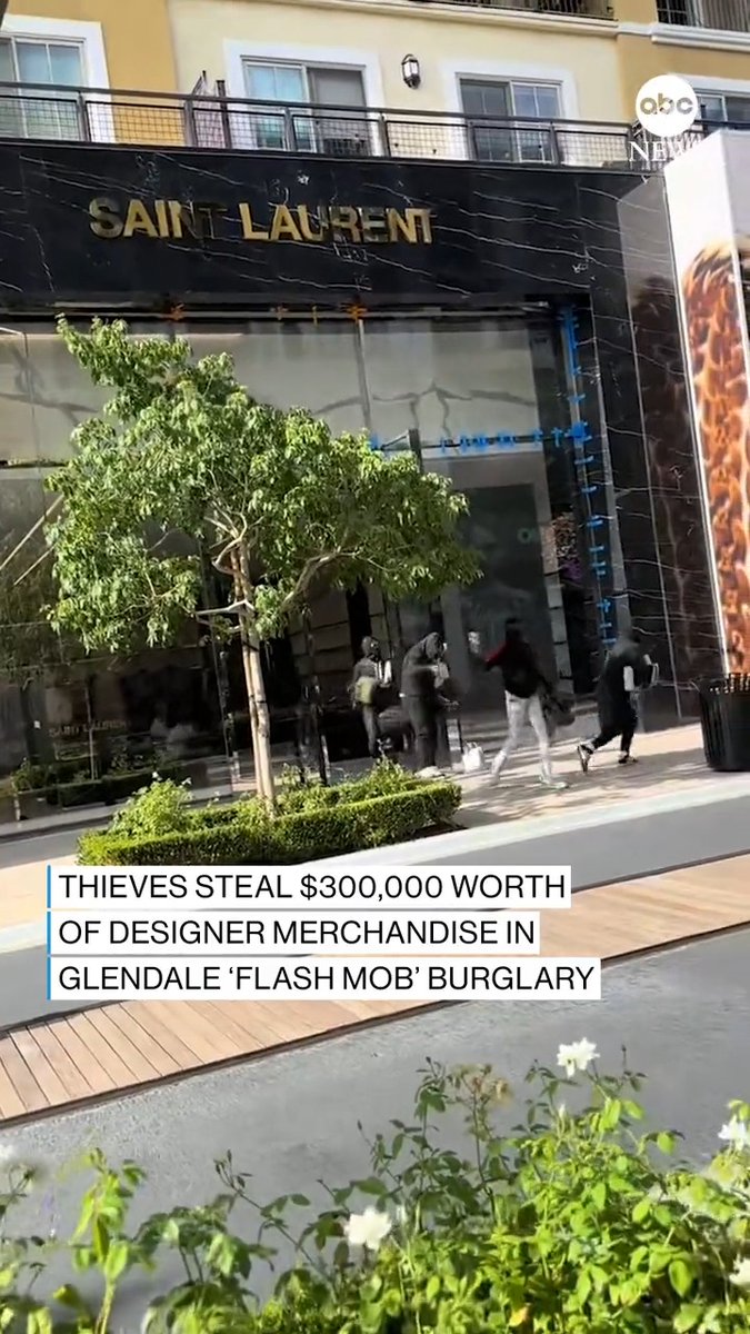 A group of at least 30 people flooded an upscale store at a shopping complex in Glendale, California, and stole approximately $300,000 worth of merchandise in a “bold, flash mob burglary,” police say.