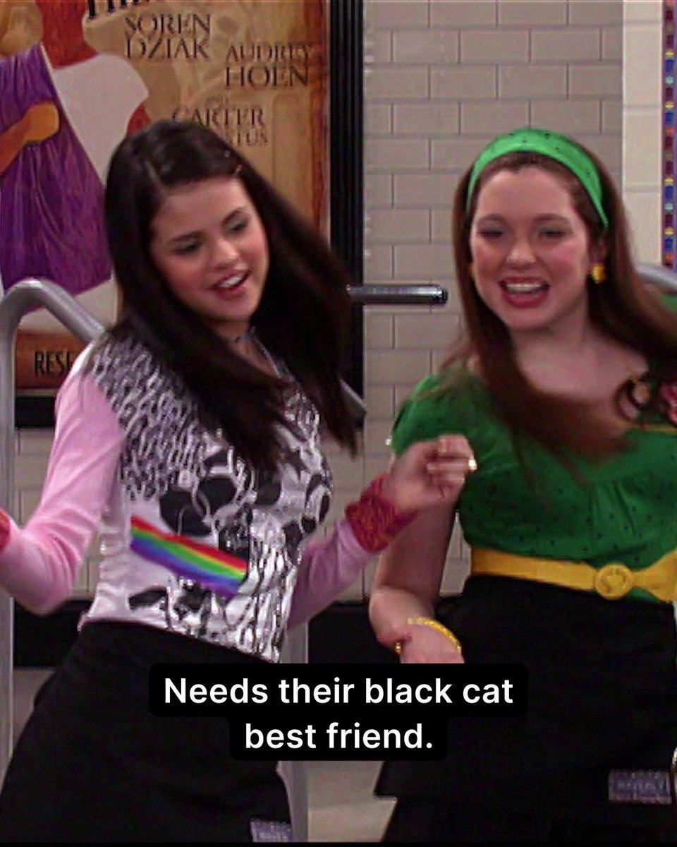 Alex and Harper: the ultimate golden retriever/black cat BFFs 🥰