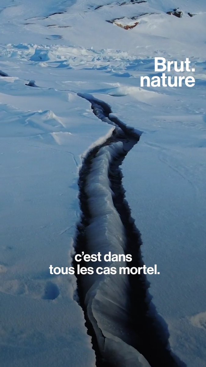 "Seuls le temps et la glace sont maîtres." Dans cette zone du Groenland, la cartographie n'est plus à jour... Le recul d'immenses glaciers a fait apparaître les "Nunanutaat", des nouvelles terres. L'explorateur Nicolas Dubreuil y était. Il raconte.