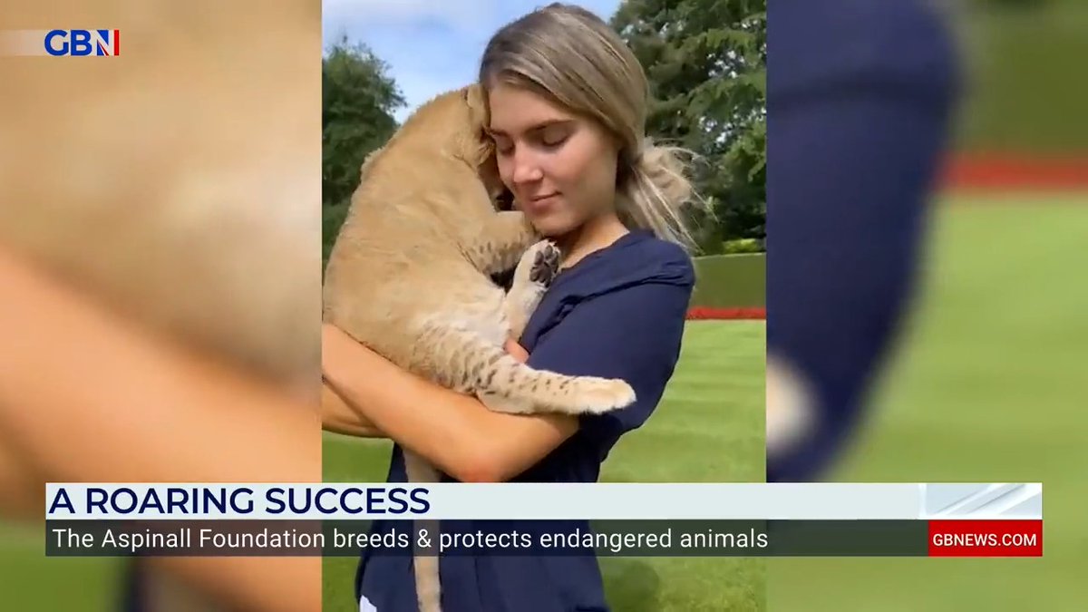 'So how do you get an elephant on an airplane!?' 'Right now we have to feed elephants in the crate so they get used to coming in.' Freya Aspinall from the Aspinall Foundation reveals the process of breeding and re-wilding endangered species.