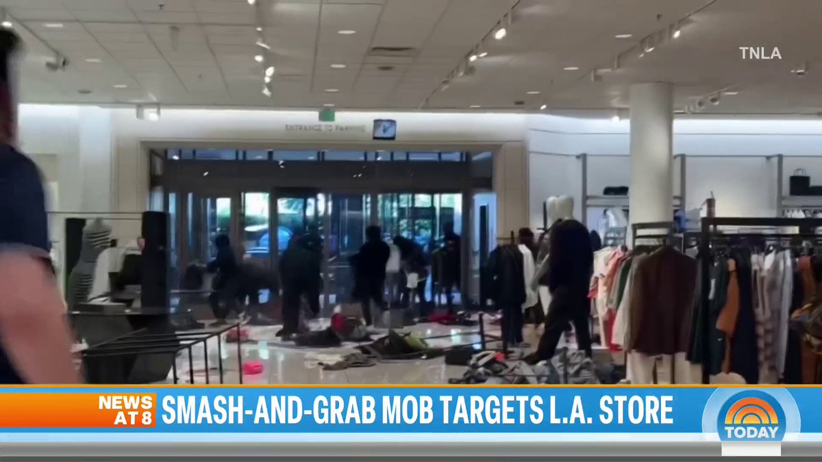 A mob of nearly 50 people staged a smash-and-grab style robbery at a Nordstrom in Los Angeles.