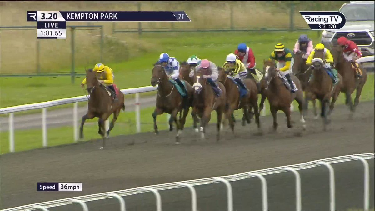 👀 Nice debut 8,000gns purchase Caelan (Tamayuz) gets up in the shadows of the post to score for Marco Botti Racing & Stefano Cherchi at Kempton Park Racecourse