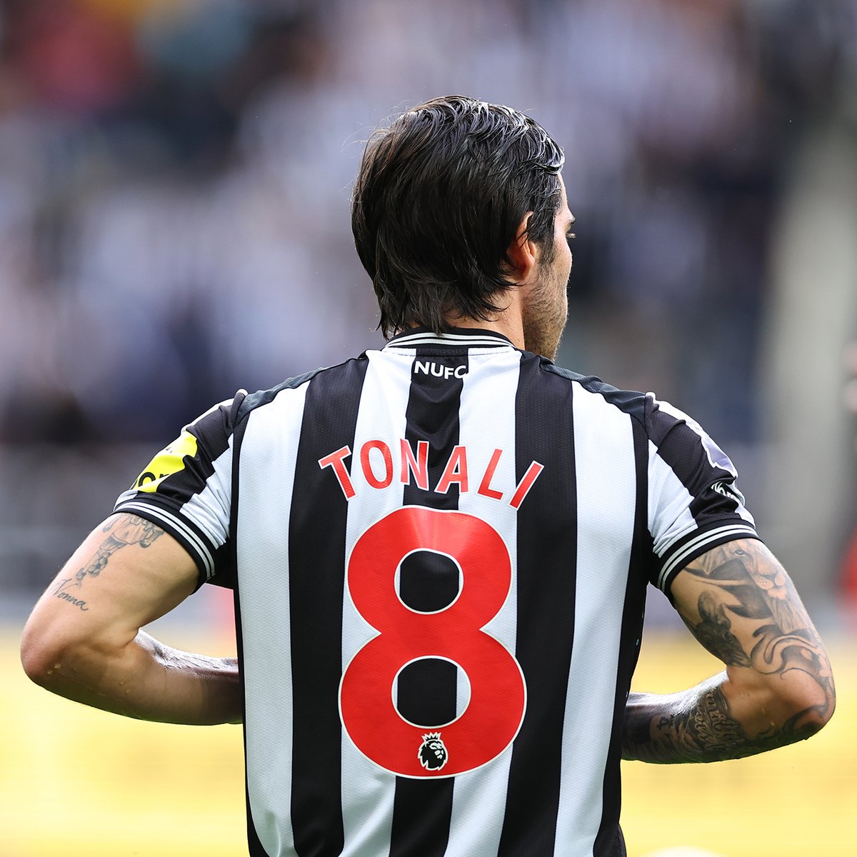 🔎 IN FOCUS 🔍 The best of Sandro Tonali from his Premier League debut! 🇮🇹
