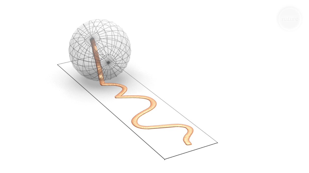 Thanks to a complex mathematical algorithm, these plastic shapes follow a very specific route as they roll. In fact, researchers have shown that a shape can be designed to follow almost any path you can think of. Read the associated nature paper: 🔒