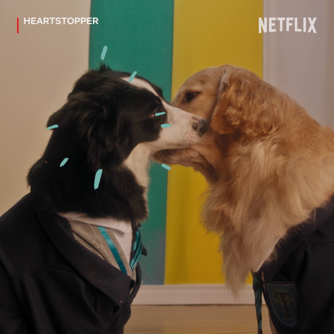 Heartstopper, but dogs. Because why not. 🍂
