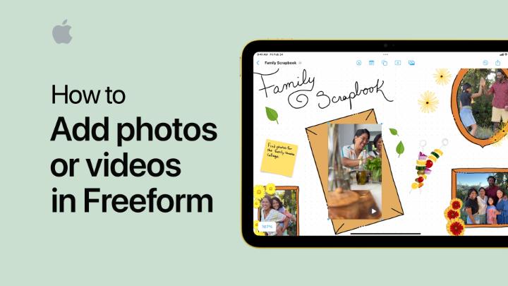 Photos and videos can bring your Freeform boards to life. 🌄 Here’s how to add them: