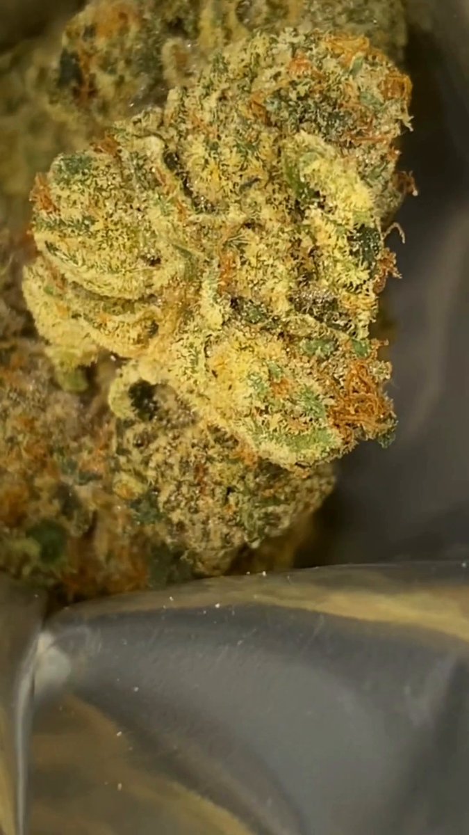 { Laughing Gas } just dropped at @cookiesharrison 🔥🔥🔥 lets goooo New Jersey !