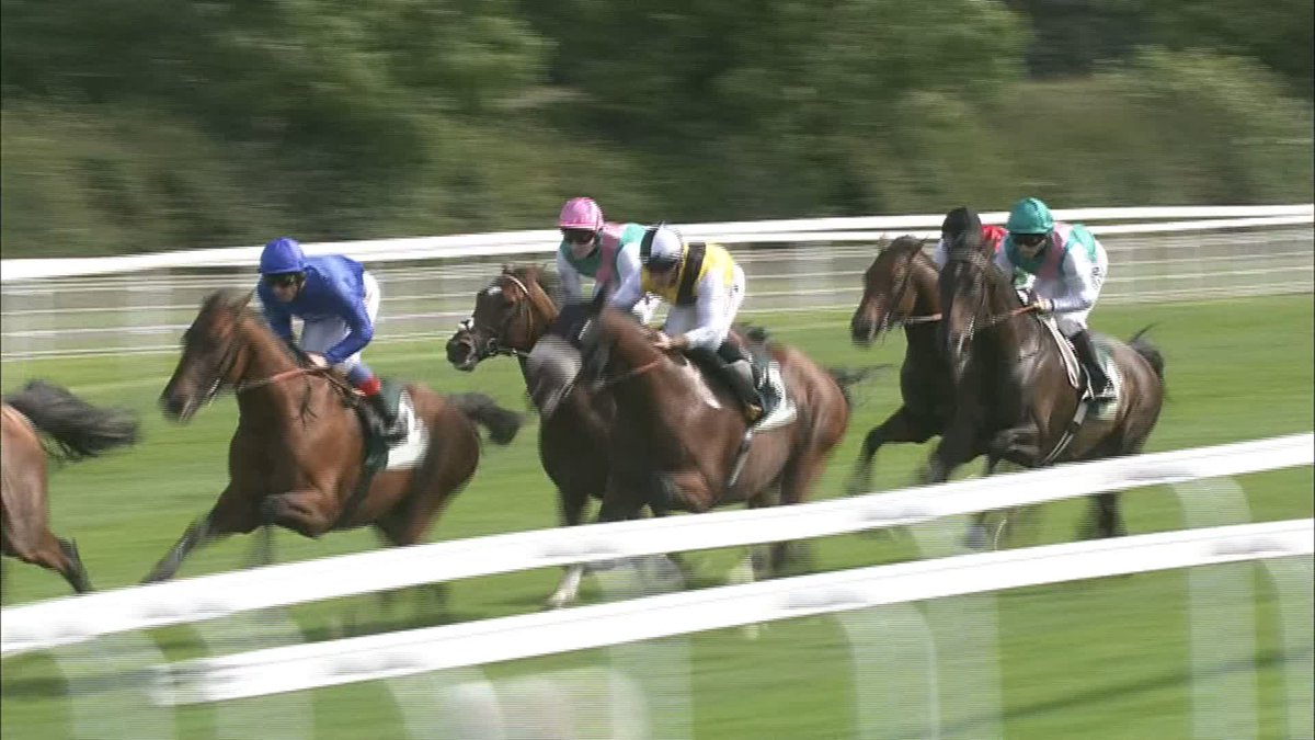 🐐 Never forget when Frankel breezed past the likes of St Nicholas Abbey, Farhh &amp; Twice Over in a matter of strides in the 2012 Juddmonte International What a horse, what a moment York Racecourse 😍