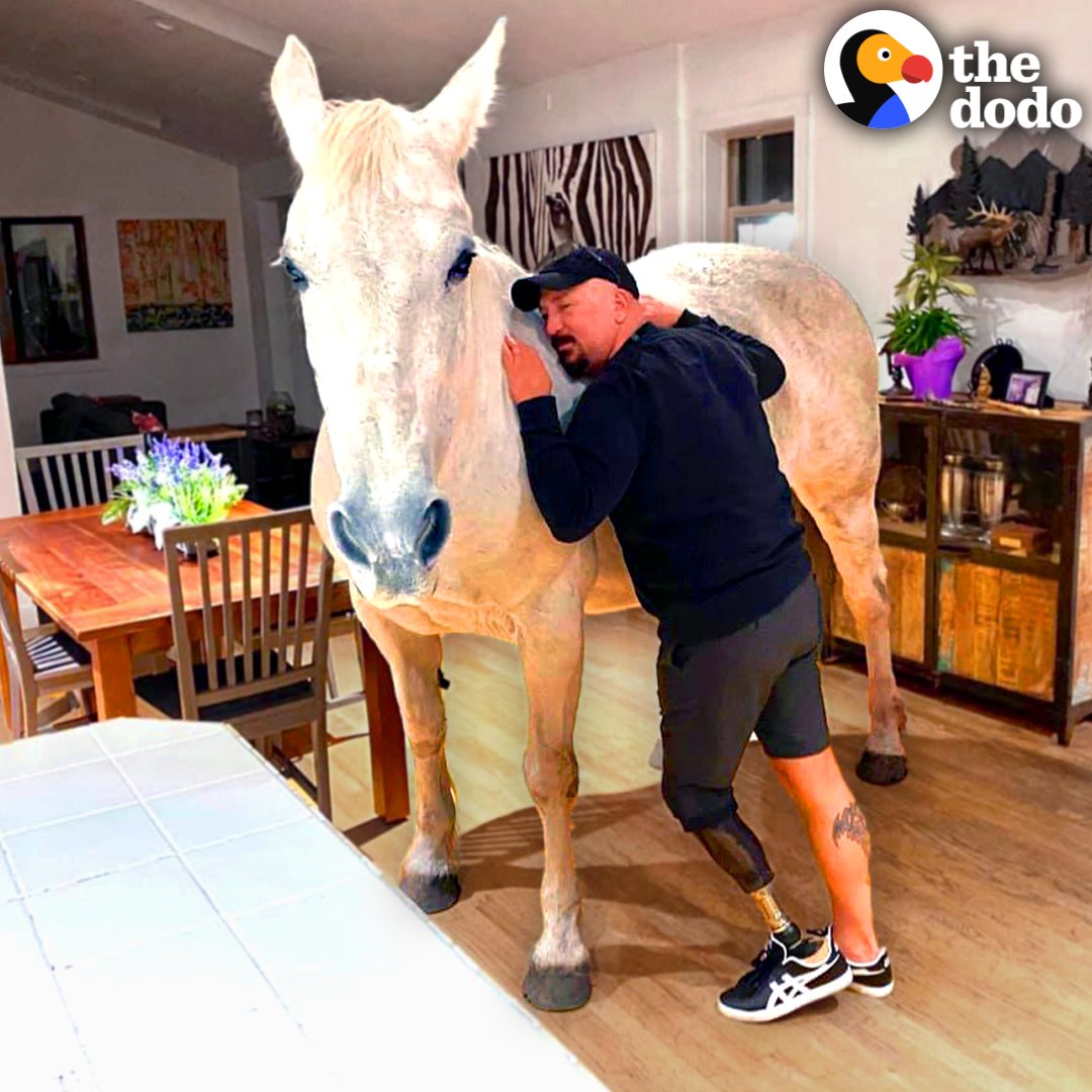 This horse lets herself inside her dad's house whenever she wants — and the way they became best friends is truly incredible 💗