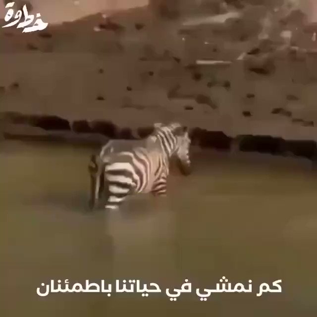 اللهم لا تكلني إلى نفسي طرفة عين
