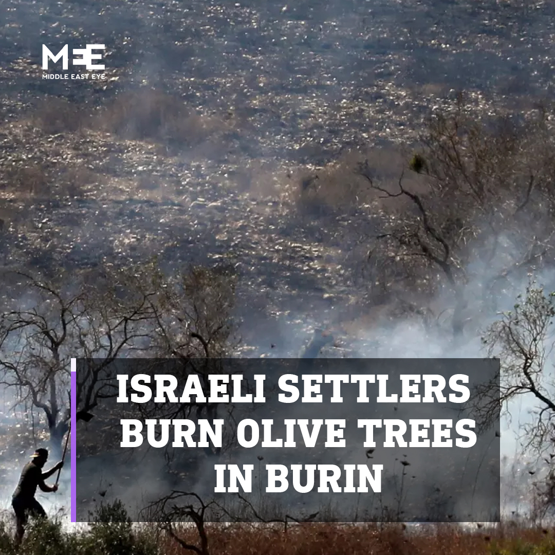 Israeli settlers set fire to and uprooted dozens of olive trees in Burin village, which is to the south of the northern West Bank city of Nablus. The settlers from a new outpost near Yitzhar settlement wore masks as they launched their attack.