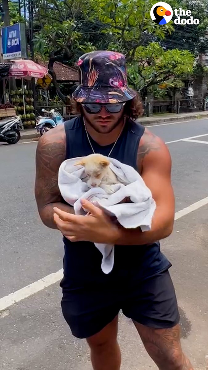 Couple rescues puppy that was thrown out in the road — watch her kiss her little siblings for the first time ❤️