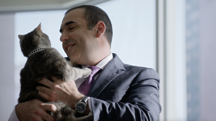 Suits and the power of feline persuasion.