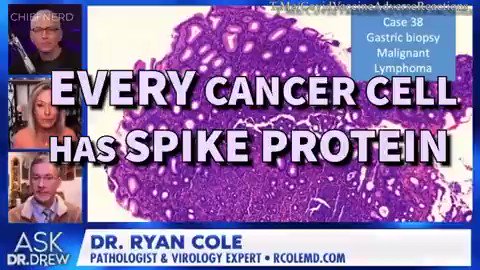 Who’s going to be held accountable for the massive amount of Cancer Cases?This Turbo Cancer Massacre is because of the ‘Vaccines’ which Dr. Drew and Dr. Ryan Cole discuss below. Dr. Cole has been warning about this from the beginning…and he is certainly more than vindicated.