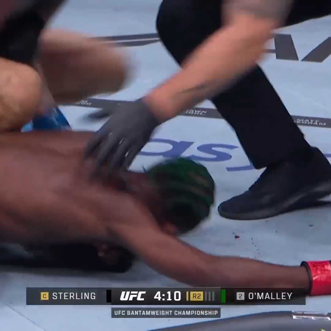SEAN O'MALLEY KNOCKS OUT ALJAMAIN STERLING 😱 WE HAVE A NEW BANTAMWEIGHT WORLD CHAMP #UFC292
