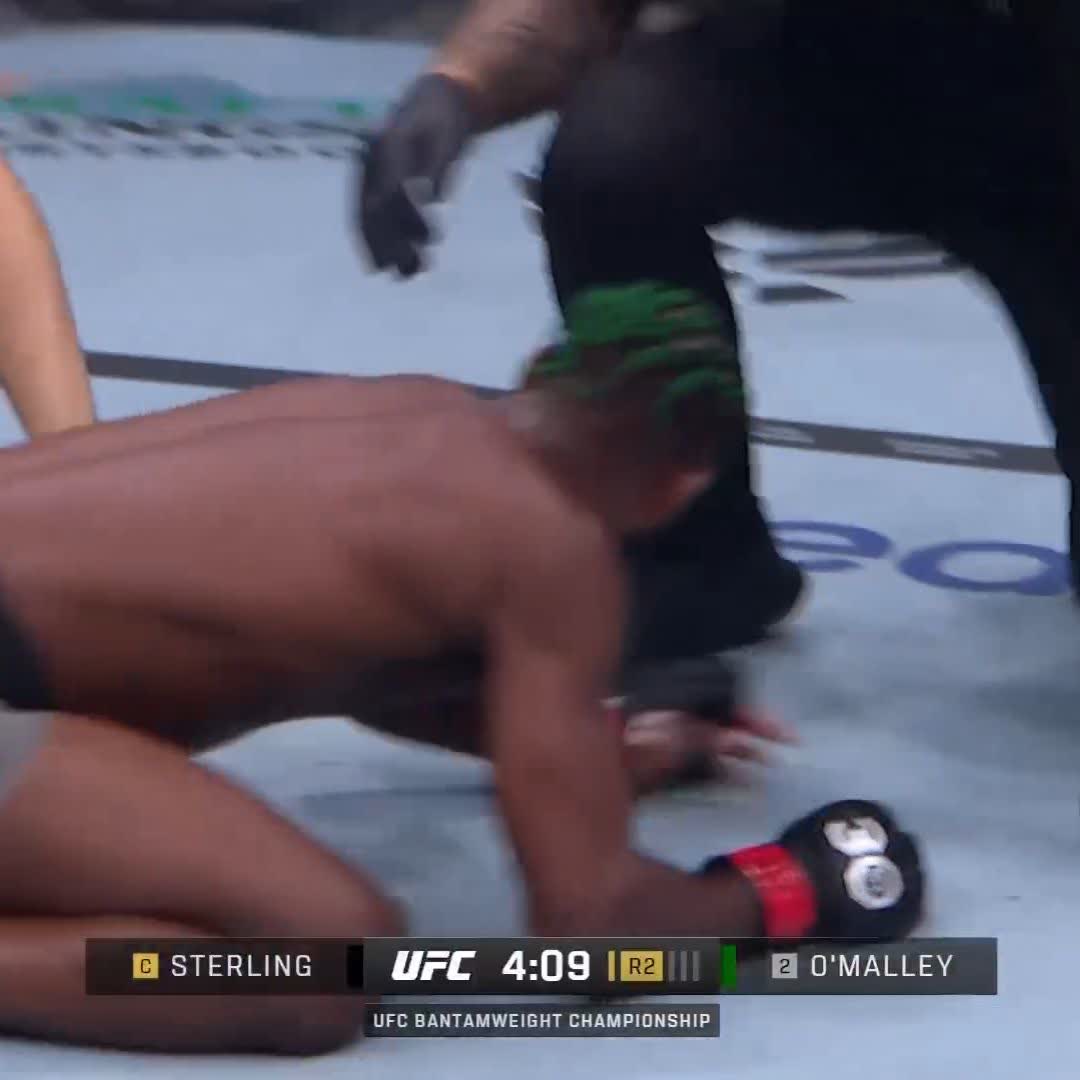 O’MALLEY, O’MALLEY, O’MALLEY 😱 IL L’A FAIT, IL EST LE NOUVEAU CHAMPION BANTAMWEIGHT 👑 #UFC292
