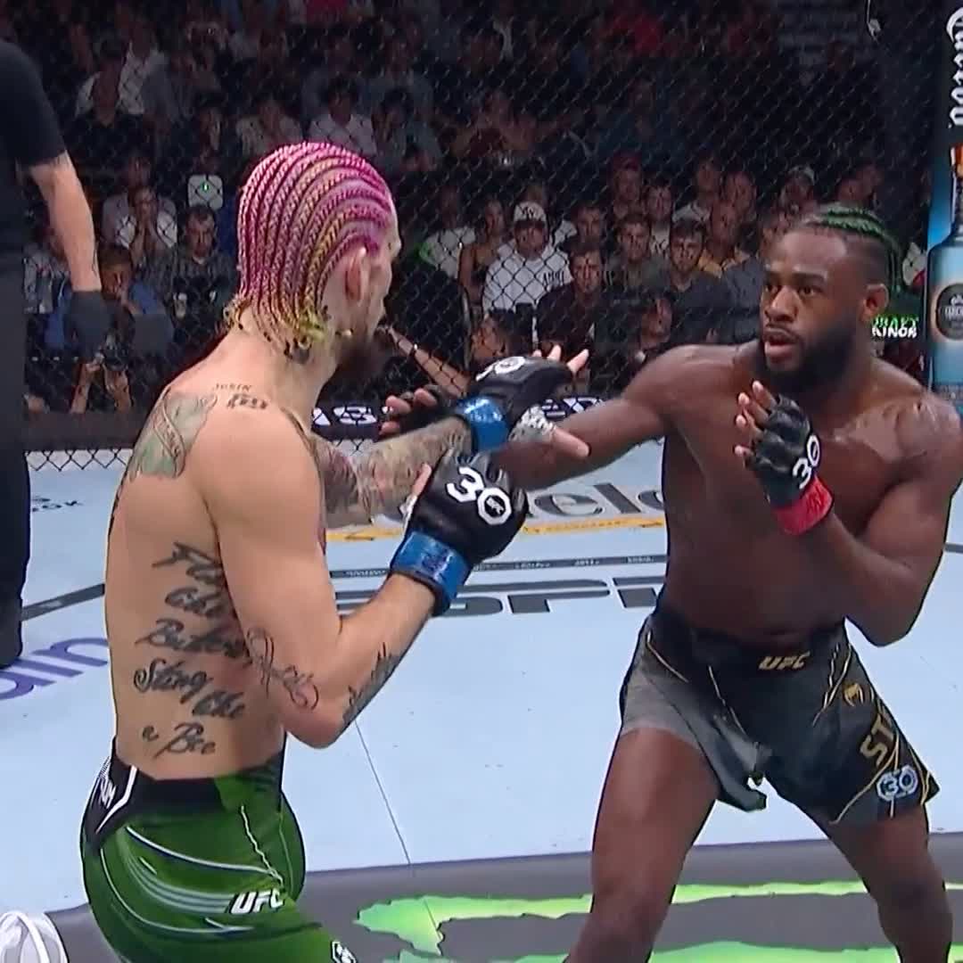 El DERECHAZO que lastimo a Sterling👊 Revive de nuevo la finalización de Sean O'Malley 🤯 #UFC292