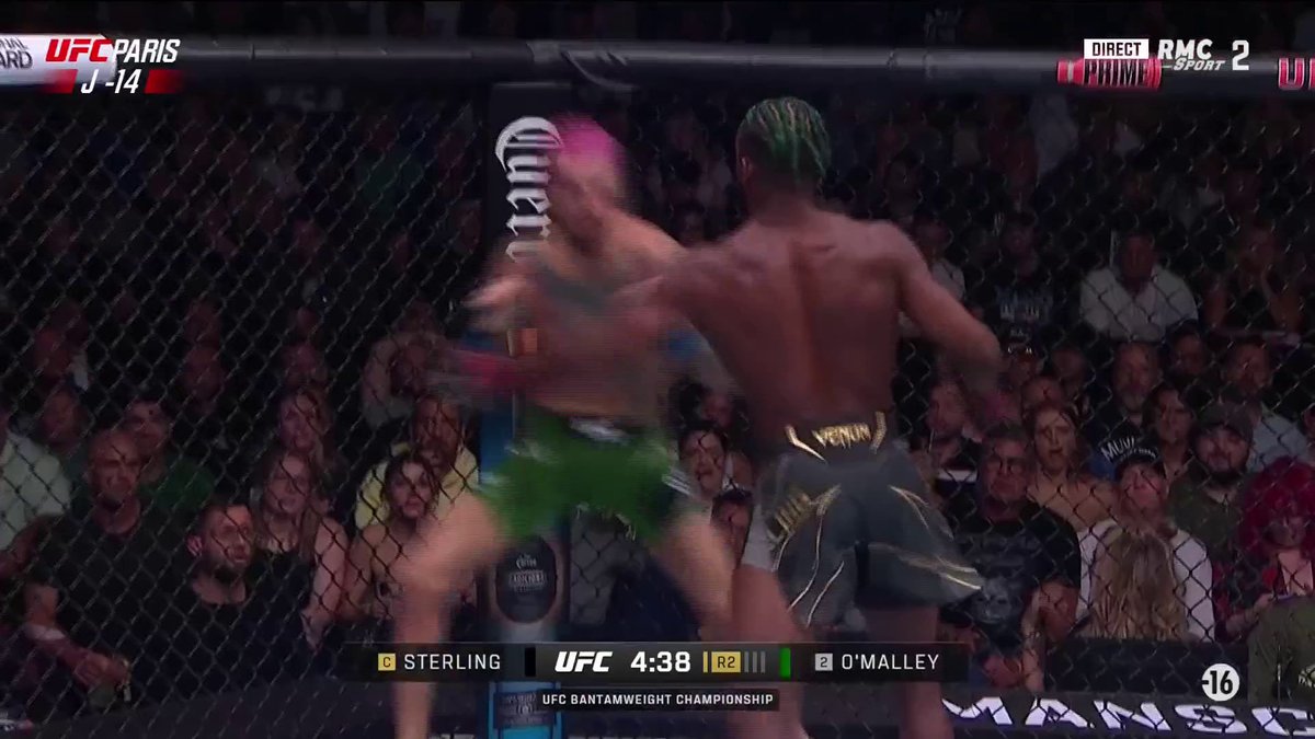 🚨🚨 SEAN O'MALLEY DÉTRUIT ALJAMAIN STERLING AU 2EME ROUNDS 💥 UN BRAS ARRIÈRE ABSOLUMENT DINGUE 🤯🤯🤯 #UFC292