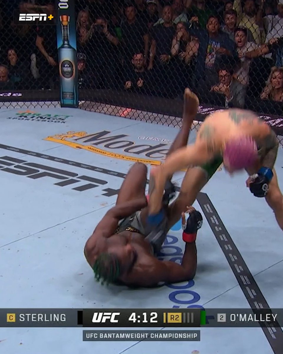 SEAN O’MALLEY DID THAT! 🤯 #UFC292