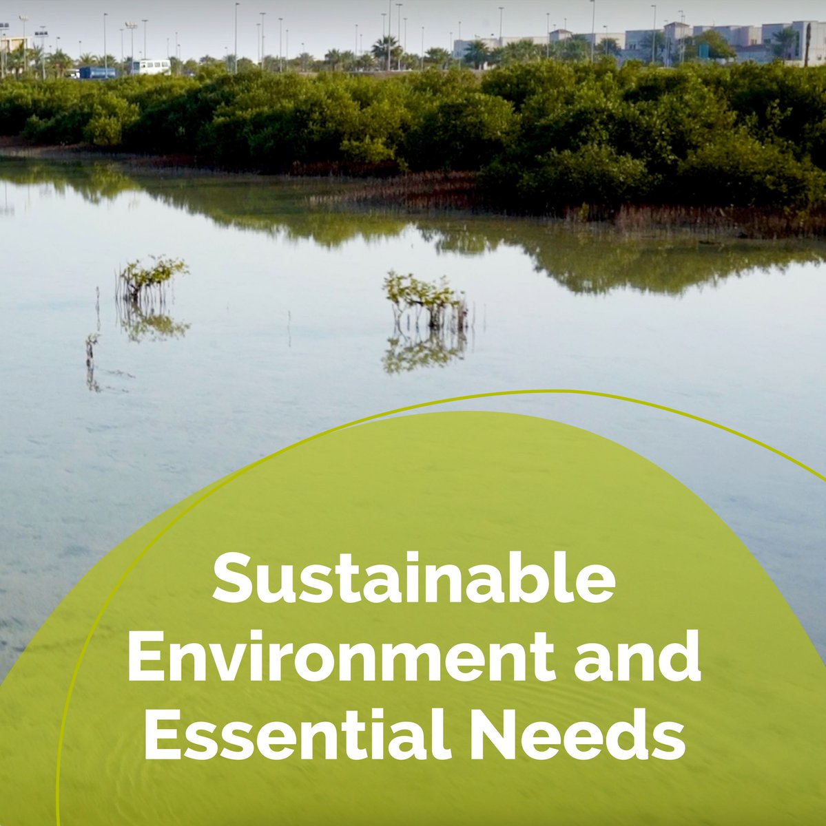 A key component of #KAUST's new strategy is conducting research that leads to viable environmental sustainability solutions, such as developing sustainable food sources and reusing water to protect Saudi's resources for future generations. #AcceleratingImpact #SaudiVision2030