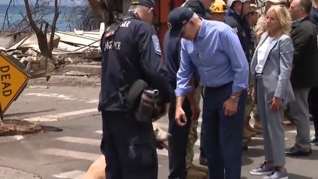 Biden gets distracted by a dog: "That's some hot ground, man!"