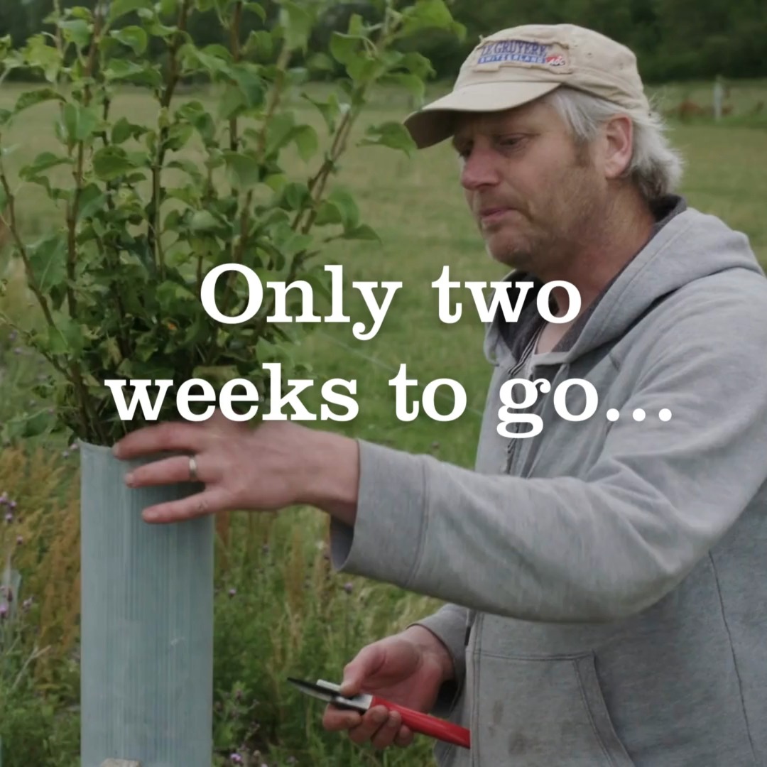#Agroforestryshow tickets are selling fast! Do you have yours yet? Whatever part of the journey you’re on, join us, @WoodlandTrust &amp; 100s of others to learn from each other and discuss how to make #treesonfarms the norm in the UK Buy your ticket now🌳👉