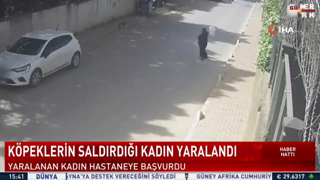 İki kadına köpekler saldırdı. İstanbul Eyüpsultan'daki mahallede tedirginlik var.