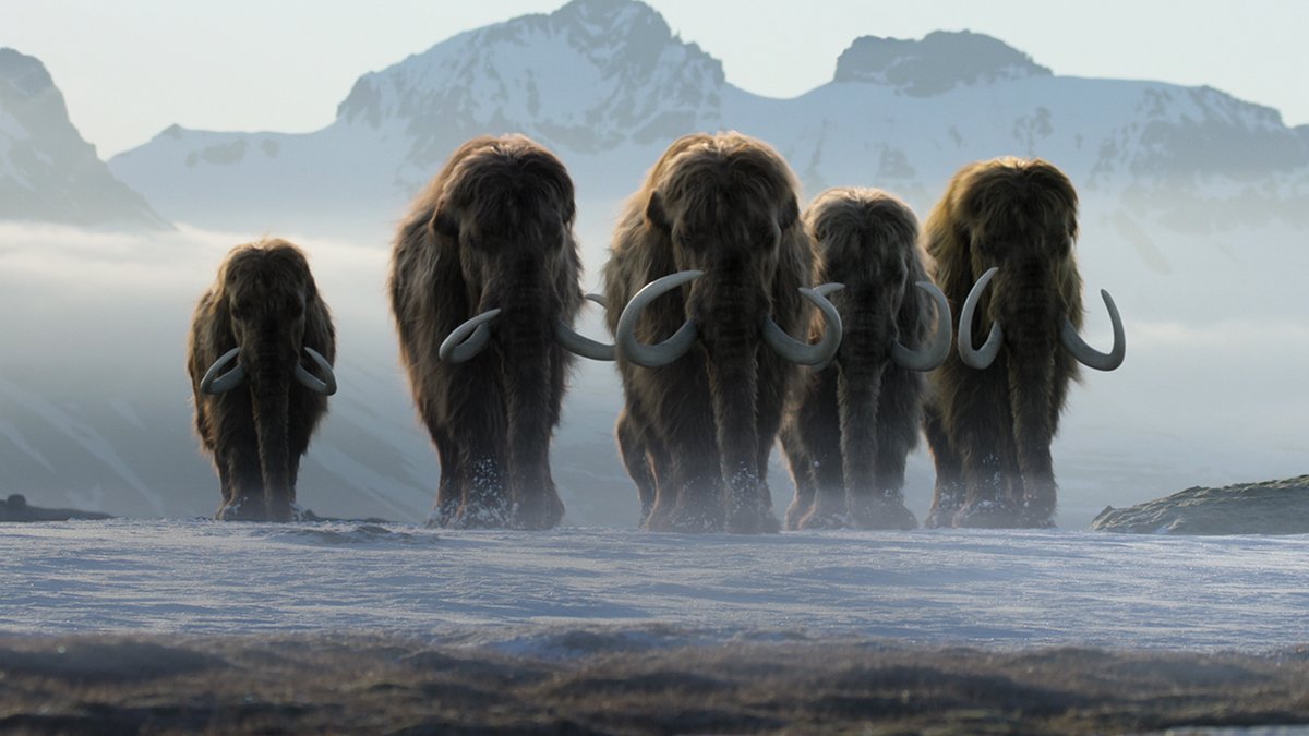 To understand life we must go back to the beginning. Life on Our Planet — from executive producer Steven Spielberg and the team behind Our Planet — premieres October 25.