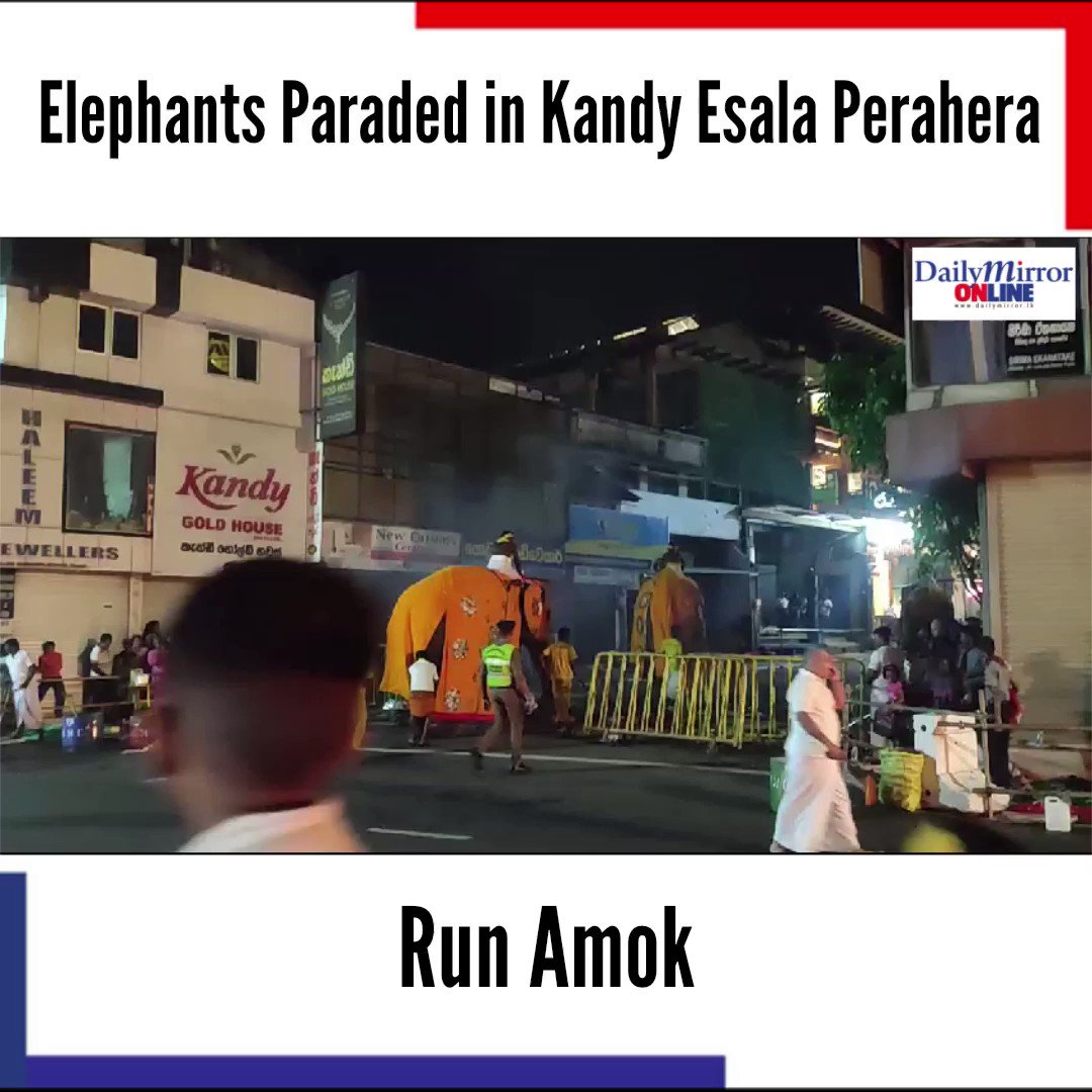 A number of elephants being paraded in the Kandy Esala Perahera tonight ran amok causing spectators to run for cover. Several attempts were made to calm the majestic animals who could not be controlled and as a result, the Perahera was disrupted, causing fear and panic to spread. Many people were seen videoing the incident.