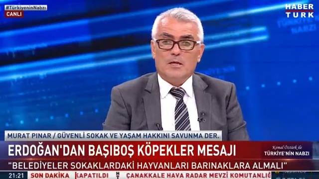 Derneği kurma amacı nedir? Sahipsiz hayvanlar için ne istiyor? Güvenli Sokaklar Derneği Başkanı Murat PINAR #TürkiyeninNabzı'nda anlattı.