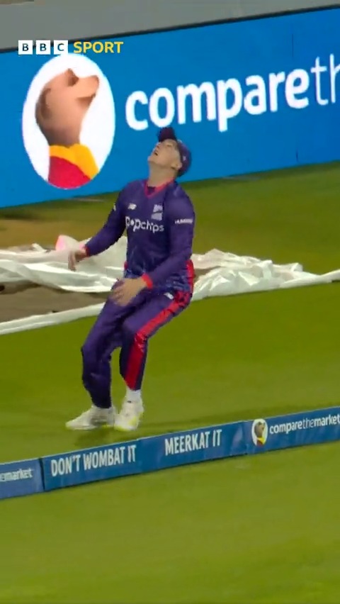 From the sublime with the bat, to the absolutely ridiculous in the field. 🤯 Harry Brook everyone. 😍