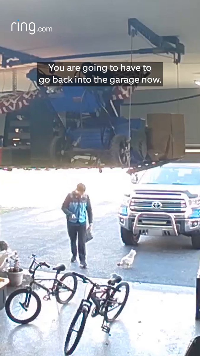 Thanks to Amazon Key In-Garage Delivery, we're able to keep your packages, and chickens, safe. 📹: Ring