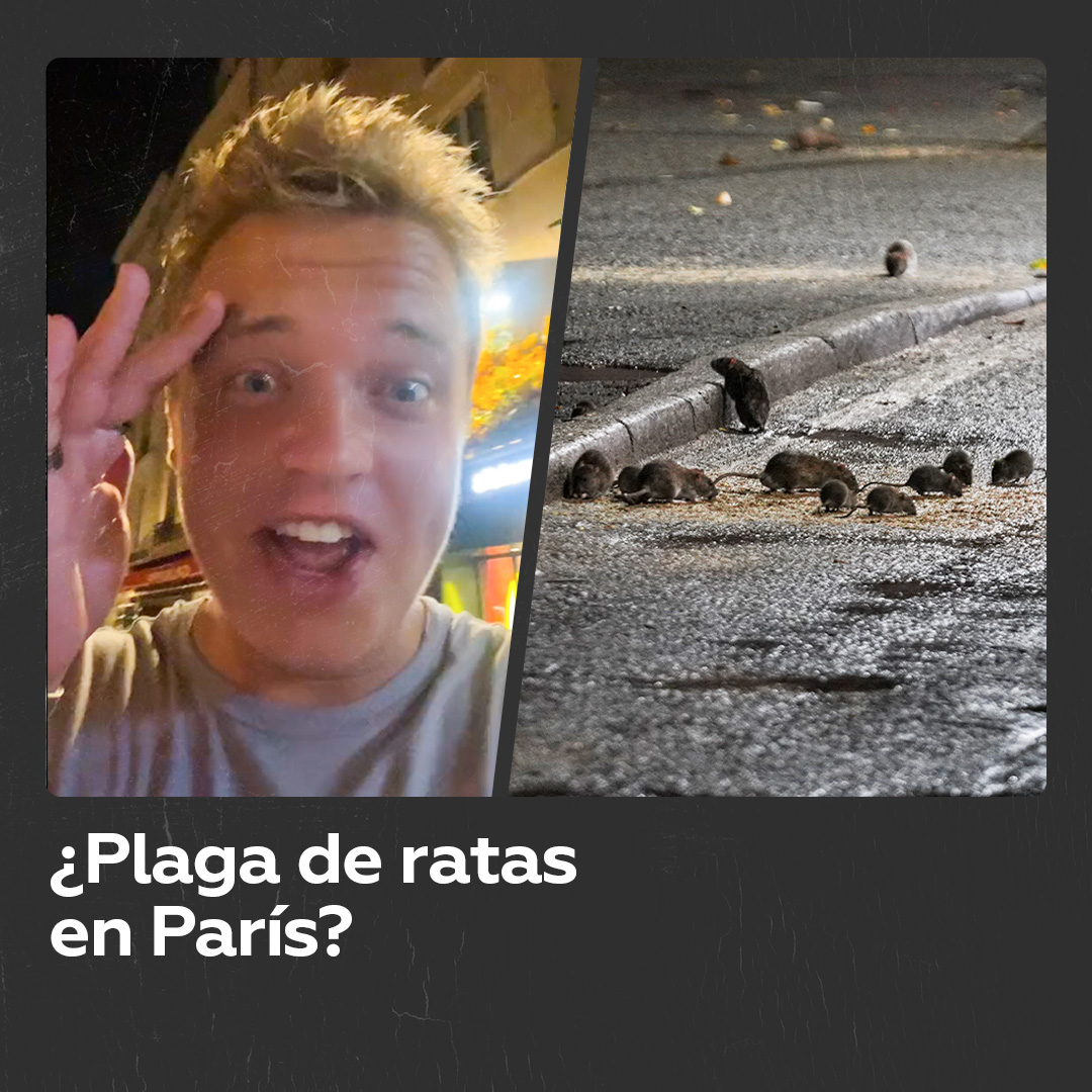 París, la ciudad de las ratas: turista comparte su experiencia Un turista revela el aterrador panorama de las calles de París, con numerosas ratas corriendo a su alrededor. Su experiencia ha generado un debate, comparando la ciudad con la película ‘Ratatouille’.
