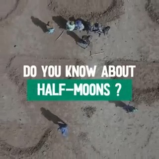 Do you know what's half-moon farming? 🌗🥬 In dry regions like #Mauritania, WFP supports communities to dig half moons into the ground. During the next rain, the water won't run off the surface but soaks into the arid soil, allowing crops to grow. 🌱💚 #WorldWaterWeek